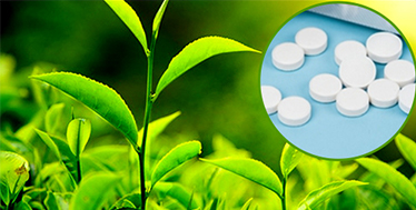 日々のコンディションを整える効果のイメージ